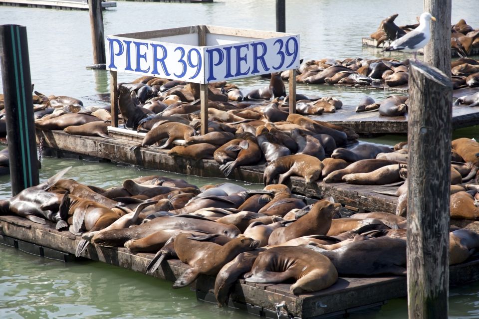 San Francisco Ultimate City Tour with Bay Cruise Option - The Bay Cruise Option: Alcatraz and the Golden Gate in One Sweep