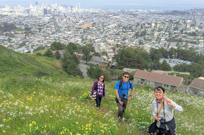San Francisco Urban Hike: Castro and Twin Peaks - Sutro Tower eucalyptus forest: when the city quiets down