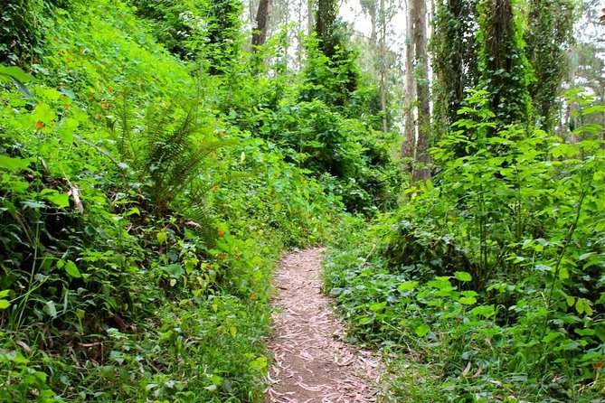 San Francisco Urban Hike: Castro and Twin Peaks - Twin Peaks summit: the big view you work for