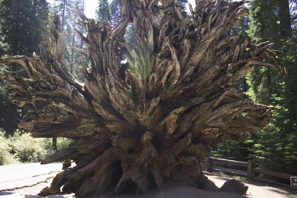 San Francisco: Yosemite, Las Vegas, Bryce & Zion, 6-Day Tour - San Francisco First: Bay Cruise, Golden Gate Views, and a Real City Plan