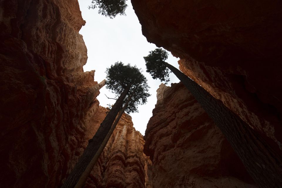 San Francisco: Yosemite, Las Vegas, Bryce & Zion, 6-Day Tour - Antelope Canyon and Bryce Sunset: When Timing Starts to Matter