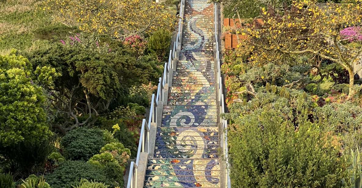 San Francisco's Wild Side, Ecotour With Meteorologist - Where the tour starts: Nancy Pelosi Dr, redwood shade, and instant context