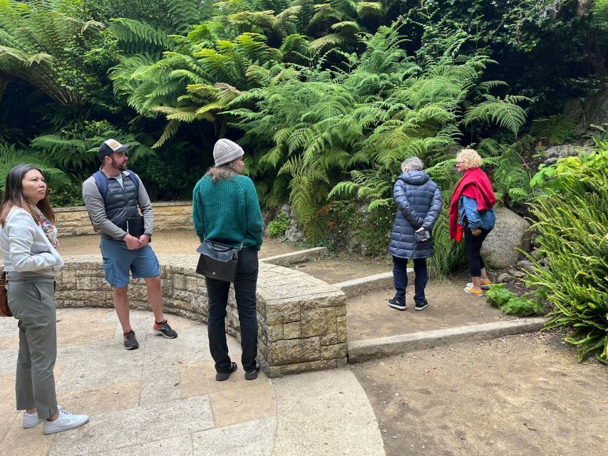 San Francisco's Wild Side, Ecotour With Meteorologist - Grandview Park payoff: fog as air conditioning, or ocean to Bay lines