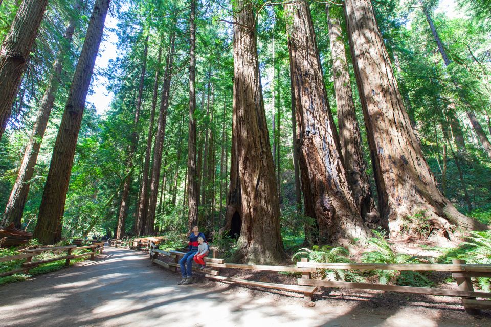 SF: Muir Woods, Sausalito, Golden Gate Bridge Private Tour - Guide Quality and Pacing: When Private Really Helps