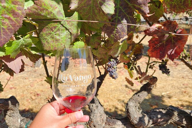 Small Group Napa and Sonoma Full-Day Wine Tour from San Francisco - Sonoma Plaza Lunch Break: Food Options and Reset Time