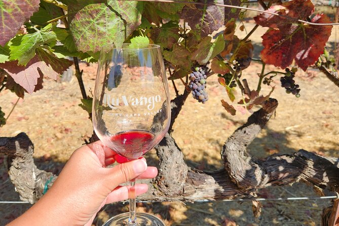 Small Group Napa and Sonoma Half-Day Wine Tour from San Francisco - Price Check: What $129 Buys (And What It Does Not)