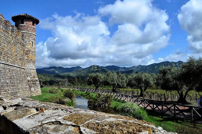 Small Group Napa Valley Tour for Wine Lovers - Ru Vango in Carneros: Art in the Tasting Room and Wines from Higher Ground