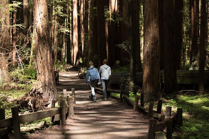 Small Group Redwoods, California Coast & Sausalito Day Trip from San Francisco - Golden Gate Bridge first: photos, then you’re off