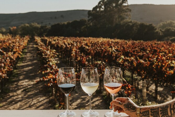 Small Group: Ultimate Napa & Sonoma Wine Tour from San Francisco - Sonoma Square lunch: the real heart of the day
