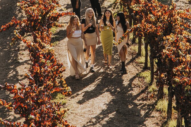 Small Group: Ultimate Napa & Sonoma Wine Tour from San Francisco - Transport and pacing: how “small group” really feels