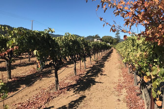 Small-Group Wine Country Tour from San Francisco with Tastings - Afternoon Tastings and a Strong Sonoma Second Act