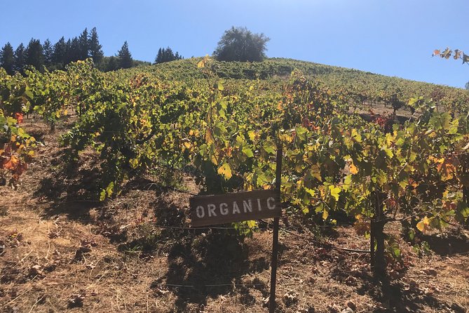 Small-Group Wine Country Tour from San Francisco with Tastings - Sausalito Boardwalk Views and the Optional Ferry Back