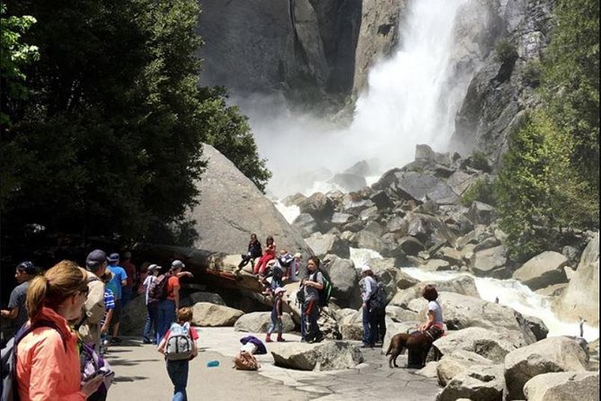 Small Group Yosemite and Giant Sequoias Day Trip from San Francisco - Yosemite Falls Walk: A Good Stretch With Real Reward