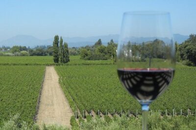 Sonoma Wine Tour with 2 Tastings Included Small-Group Half Day - Golden Gate Bridge Photo Stop: Short, Useful, and Not a Time Trap
