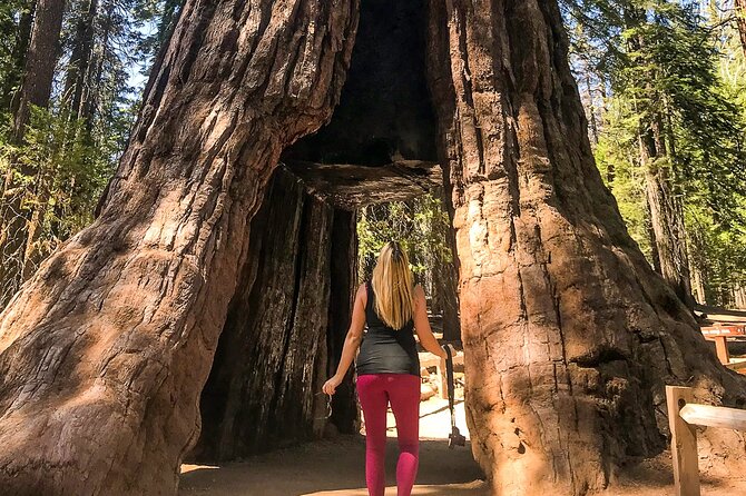 Yosemite 3-Day Camping Adventure from San Francisco - San Francisco to Yosemite: the road time that shapes the trip