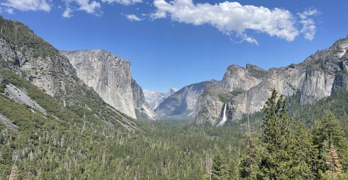 Yosemite, Giant Sequoias, Private Tour from San Francisco - A Private 13-Hour Yosemite Day Starts at Your Hotel