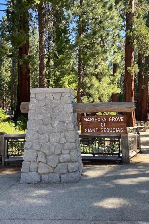 Yosemite, Giant Sequoias, Private Tour from San Francisco - Tunnel View First: Set Your Bearings, Then Go Hunting Waterfalls
