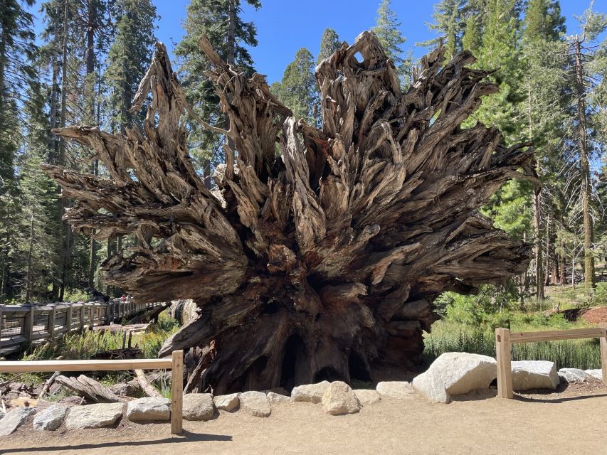 Yosemite, Giant Sequoias, Private Tour from San Francisco - Yosemite Village, The Ahwahnee, and Yosemite Falls Up Close