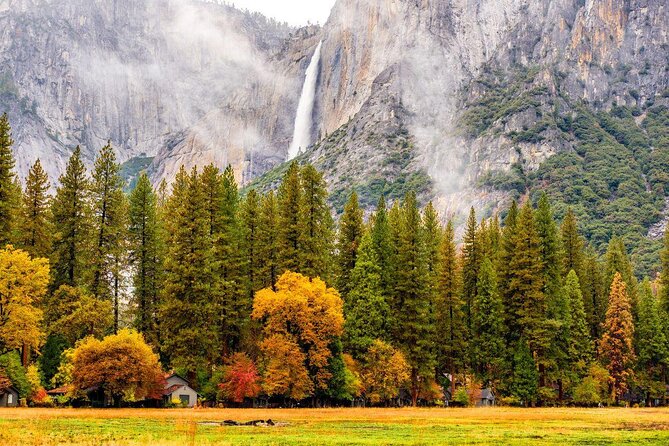 Yosemite Highlights & Giant Sequoias Day Tour from San Francisco - Key things to know before you go