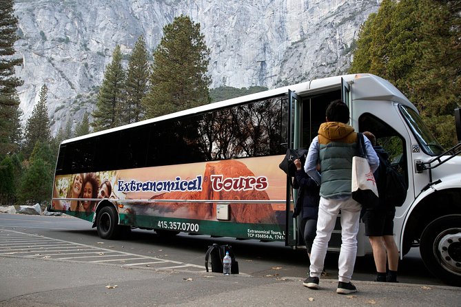 Yosemite Highlights & Giant Sequoias Day Tour from San Francisco - Tuolumne Grove Giant Sequoias: what the hike feels like