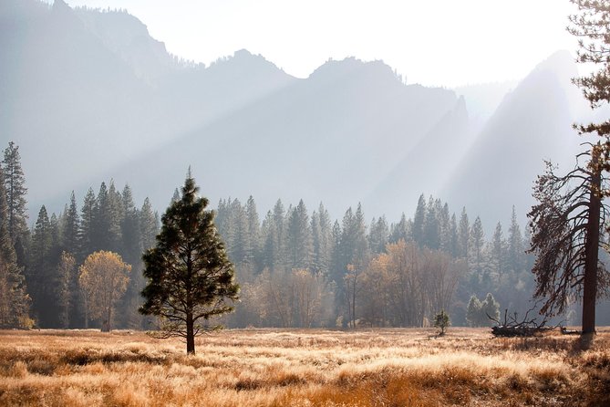 Yosemite Highlights & Giant Sequoias Day Tour from San Francisco - The drive with stories: Gold Rush context on the way in