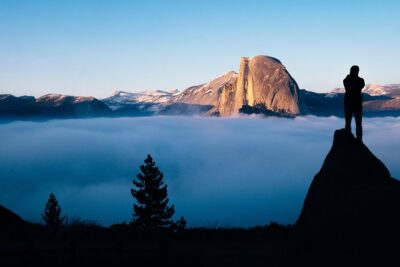 Yosemite National Park 2-Day Tour from San Francisco with Lodging - Day 1 Highlights: Sequoias, Tunnel View, and Yosemite Village Time