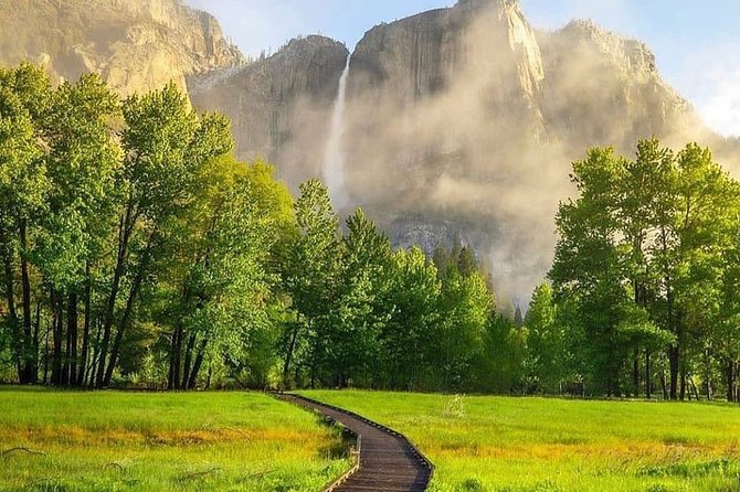 Yosemite National Park & Giant Sequoias 2-Day Semi-Guided Tour - Day 2 Giant Sequoias: Tuolumne Grove Hike Details