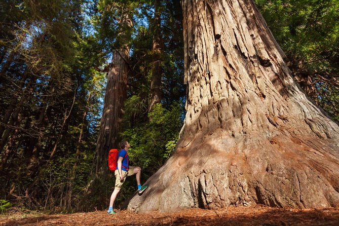 Yosemite National Park & Giant Sequoias 2-Day Semi-Guided Tour - Value Check: What the $269 Price Really Covers