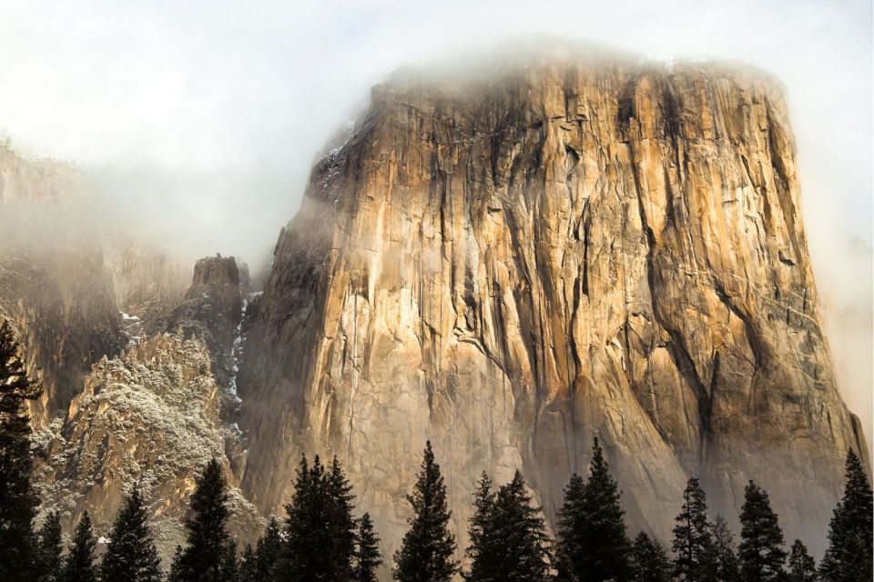 Yosemite Valley 3-Day Camping Adventure - Day 1: Sequoias, a first Yosemite Valley tour, and campfire time
